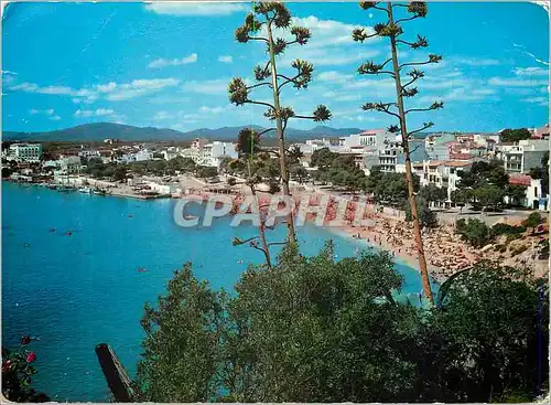 Cartes postales moderne Mallorca porto cristo pm 325