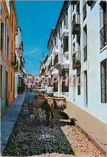 Cartes postales moderne Ronda Ane Donkey