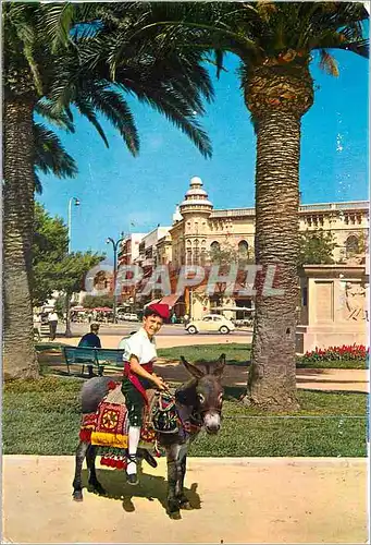 Cartes postales moderne  San Feliu de Guixols Ane Donkey