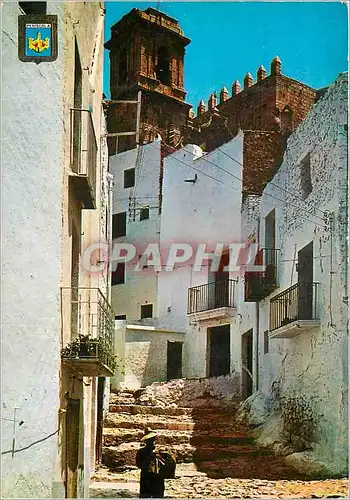 Cartes postales moderne Peniscola n 13 rue typique