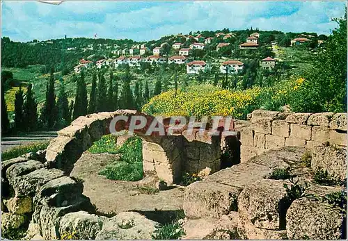 Cartes postales moderne Israel