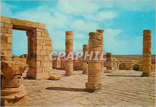 Cartes postales moderne Avdat portico