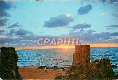 Cartes postales moderne Ahziv rest camp of the mediteranian club