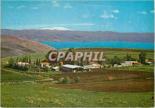 Cartes postales moderne Upper galillee the lake of galillee and mount hermon