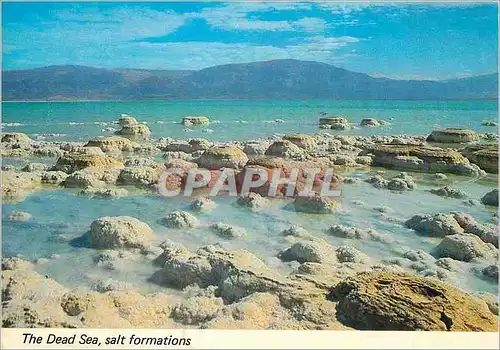 Cartes postales moderne La mer morte forme cristalline de sel