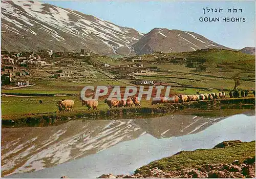 Cartes postales moderne Golan Heights