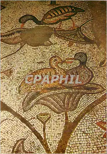 Cartes postales moderne Tabgha Eglise de la Multiplication