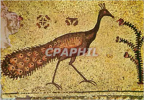 Cartes postales moderne Tabgha Eglise de la Multiplication