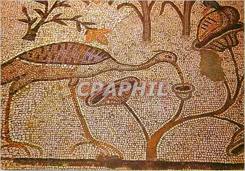 Cartes postales moderne Tabgha Eglise de la Multiplication