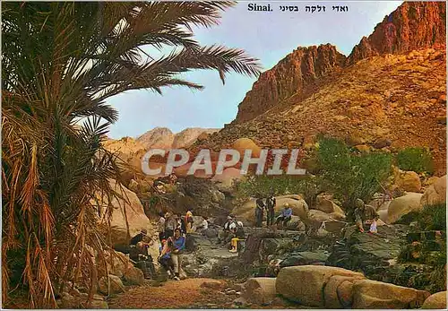 Cartes postales moderne Sinai Wadi Zalka