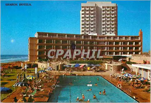 Cartes postales moderne Year around resort on the blue Mediterranean Sharon Hotels Herzlia Beach