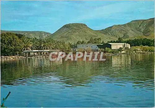Cartes postales moderne Kibbutz ein Gev Lake of Galilee