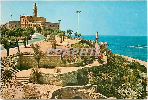 Cartes postales moderne A lovely Corner of Jaffa's Seaside