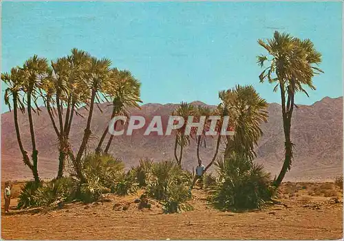 Cartes postales moderne Arava Plain