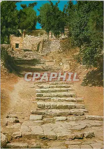 Cartes postales moderne The Jewish Street La Rue Juive