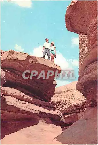 Cartes postales moderne Southern Negev The Red canyon