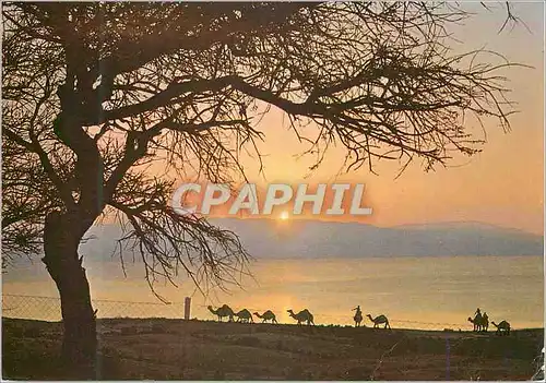 Cartes postales moderne Ein-Gedi Sunrise on the Dead Sea