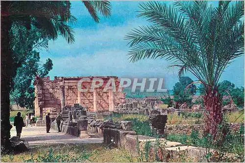 Cartes postales moderne Kfar Nachum Ruins of the Ancient Synagogue at Capernaum