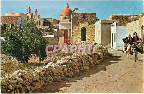 Cartes postales moderne View of Cana in Galilee Ane Donkey