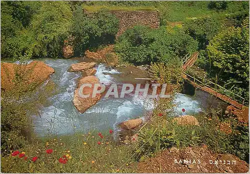 Cartes postales moderne Banias One fo the Three Sources of The River Jordan
