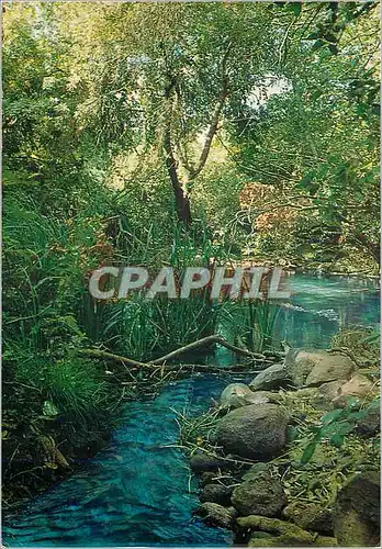 Cartes postales moderne Tel Dan (Tel El Kadi)