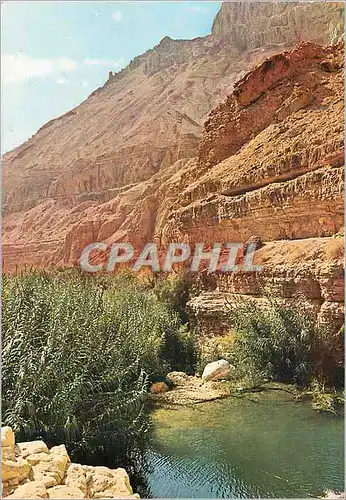 Cartes postales moderne Ein-Gedi Landscape at Nachal Arugot