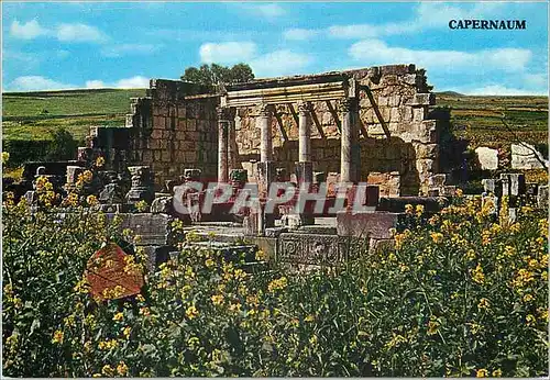 Cartes postales moderne Capernaum Ruins of ancient synagogue