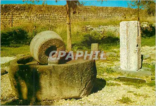 Moderne Karte Capernaum Ancient Olive Press