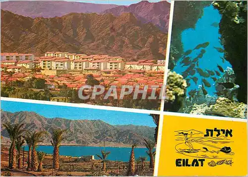 Cartes postales moderne Eilat