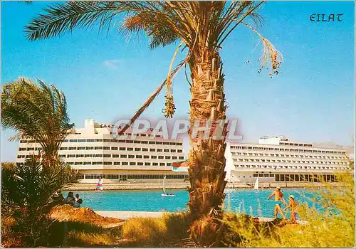 Cartes postales moderne Eilat resort hotels on the shore of the Red Sea
