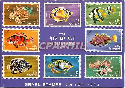 Cartes postales moderne Israel Stamps