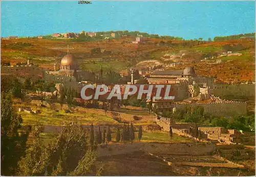 Cartes postales moderne Jerusalem Temple Area and Mt Scopus