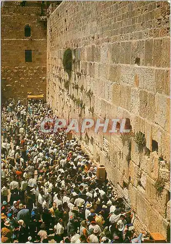 Cartes postales moderne Jerusalem Wailing Wall