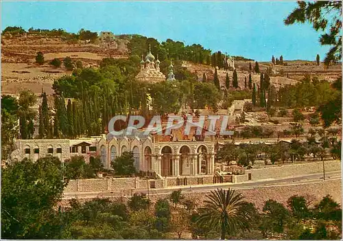 Cartes postales moderne Jerusalem Old City