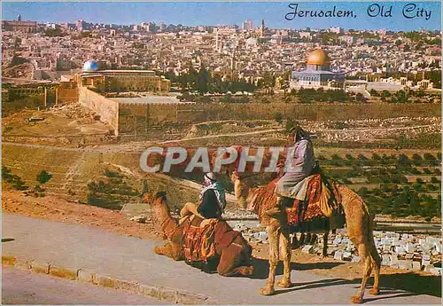 Cartes postales moderne Jerusalem Old City