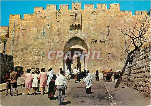 Cartes postales moderne Jerusalem La Porte de St Etienne