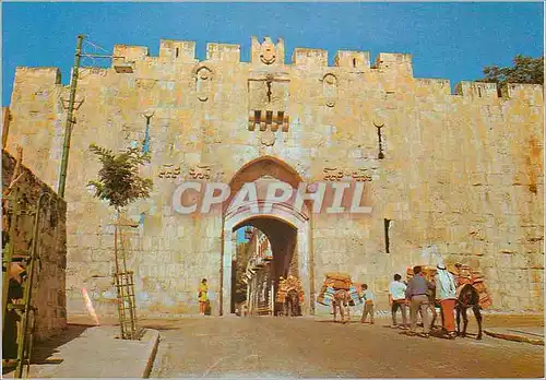 Cartes postales moderne Jerusalem La Porte de St Etienne