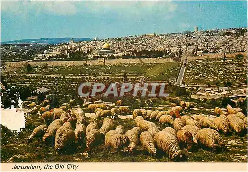 Moderne Karte Jerusalem the Old City Moutons