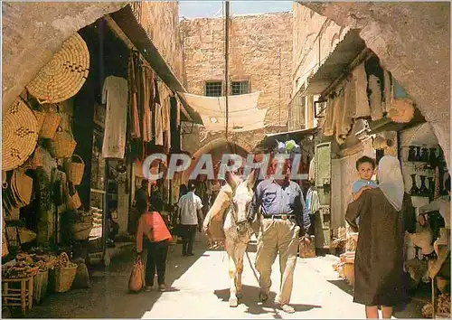 Cartes postales moderne Jerusalem Bazar Ane Donkey