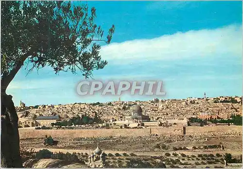 Cartes postales moderne Jerusalem Panorama