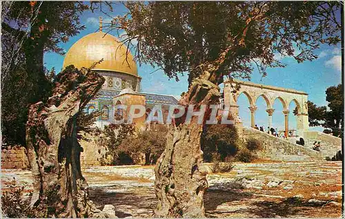 Moderne Karte Jerusalem Dome du rocher (Mosquee d'Omar)