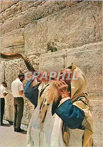 Cartes postales moderne Jerusalem Blowing the Shofar by the Wailing Wall