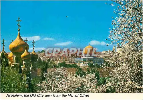 Moderne Karte Jerusalem the Old City seen from the Mt of Olives