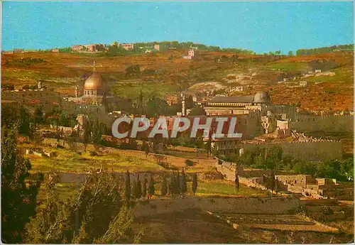 Cartes postales moderne Jerusalem Temple area and Mt Scopus