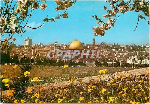 Moderne Karte Jerusalem La Vieille Ville vue du Mont des Oliviers