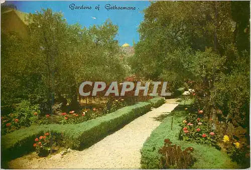 Moderne Karte Gardens of Gethsemane