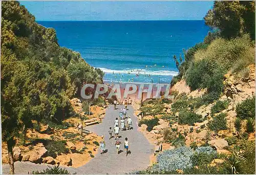 Cartes postales moderne Nathanya Declivity to the Sea