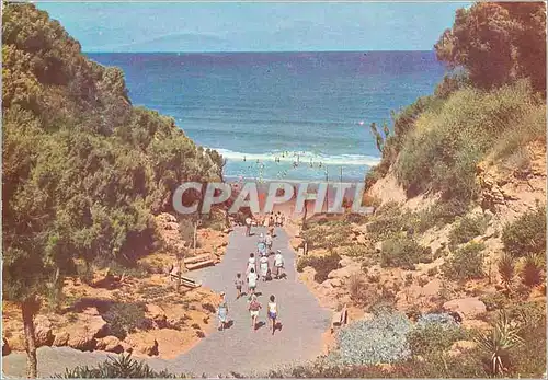 Cartes postales moderne Nathanya