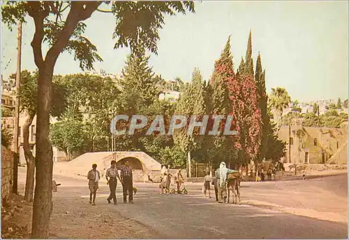Cartes postales moderne Nazareth Mary's Well