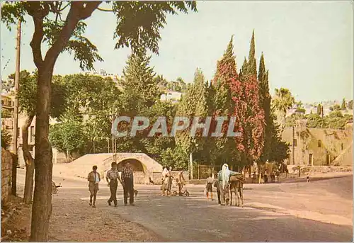 Cartes postales moderne Nazareth Mary's Well